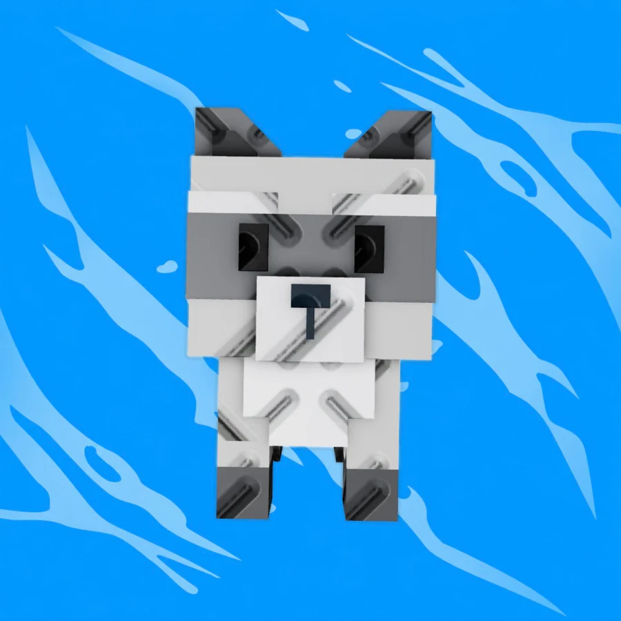 Raccoon